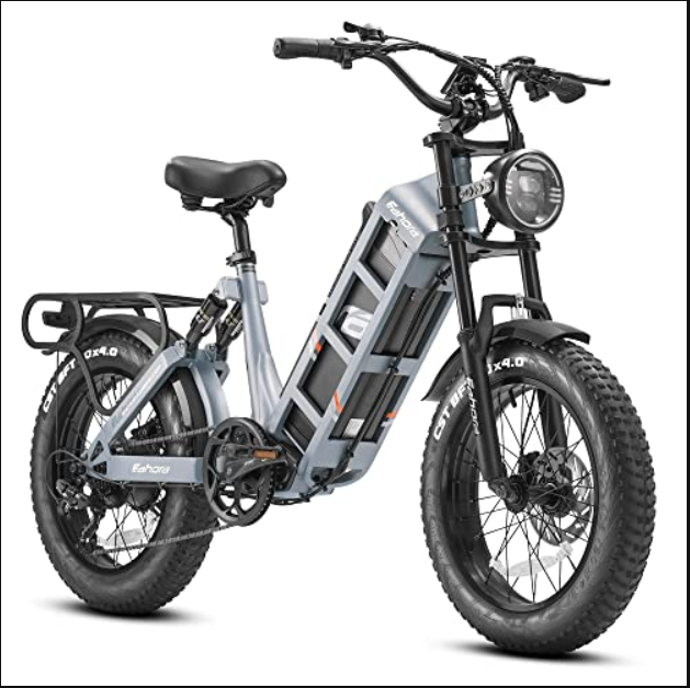 eAhora Juliet 60Ah 1000W Electric Bike for Adults Long Range Electric Bike 20