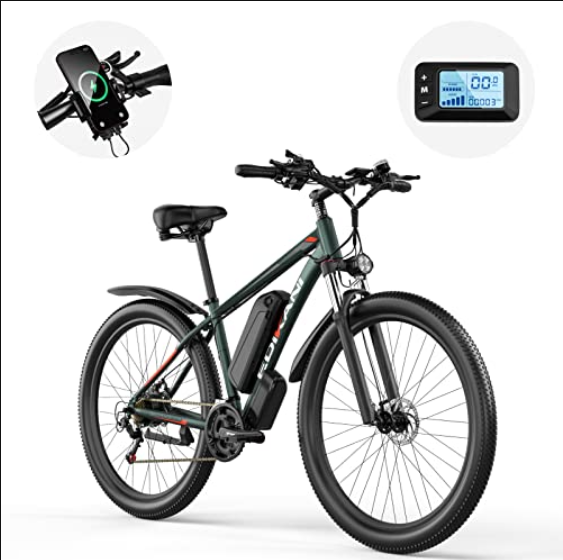 Electric Mountain Bike 29'' 750W 48V 15Ah Battery Removable E Bicycle