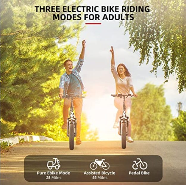 Electric Bike for Adults,750W Folding Electric Bike with 48V 13Ah Removable Battery