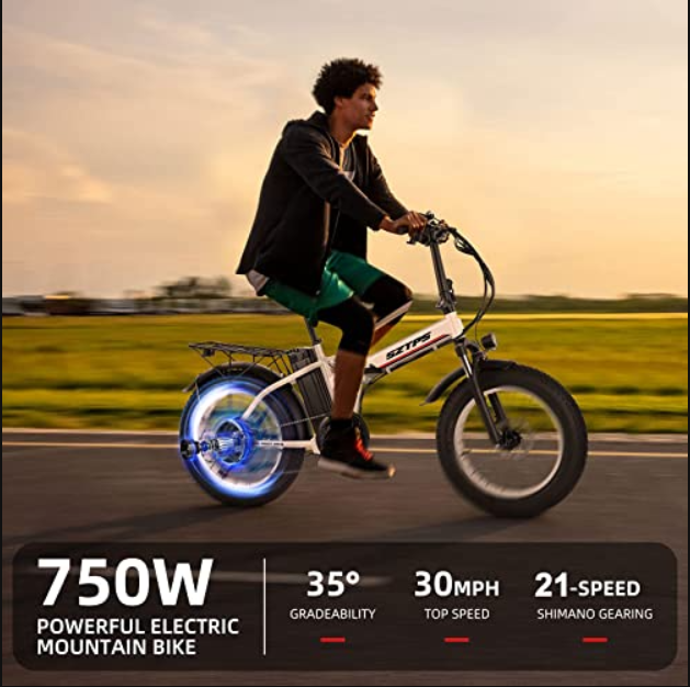 Electric Bike for Adults,750W Folding Electric Bike with 48V 13Ah Removable Battery